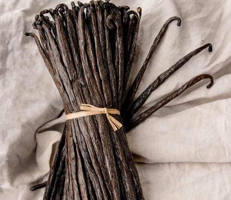 Vanille bourbon au Maroc- 10 gousse Extra 20 cm emballés sous vide