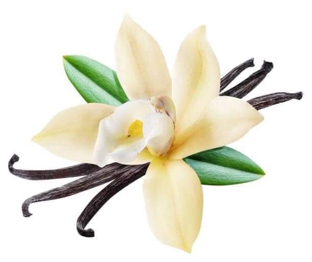 Vanille bourbon de Madagascar - (1× 10 gousses)