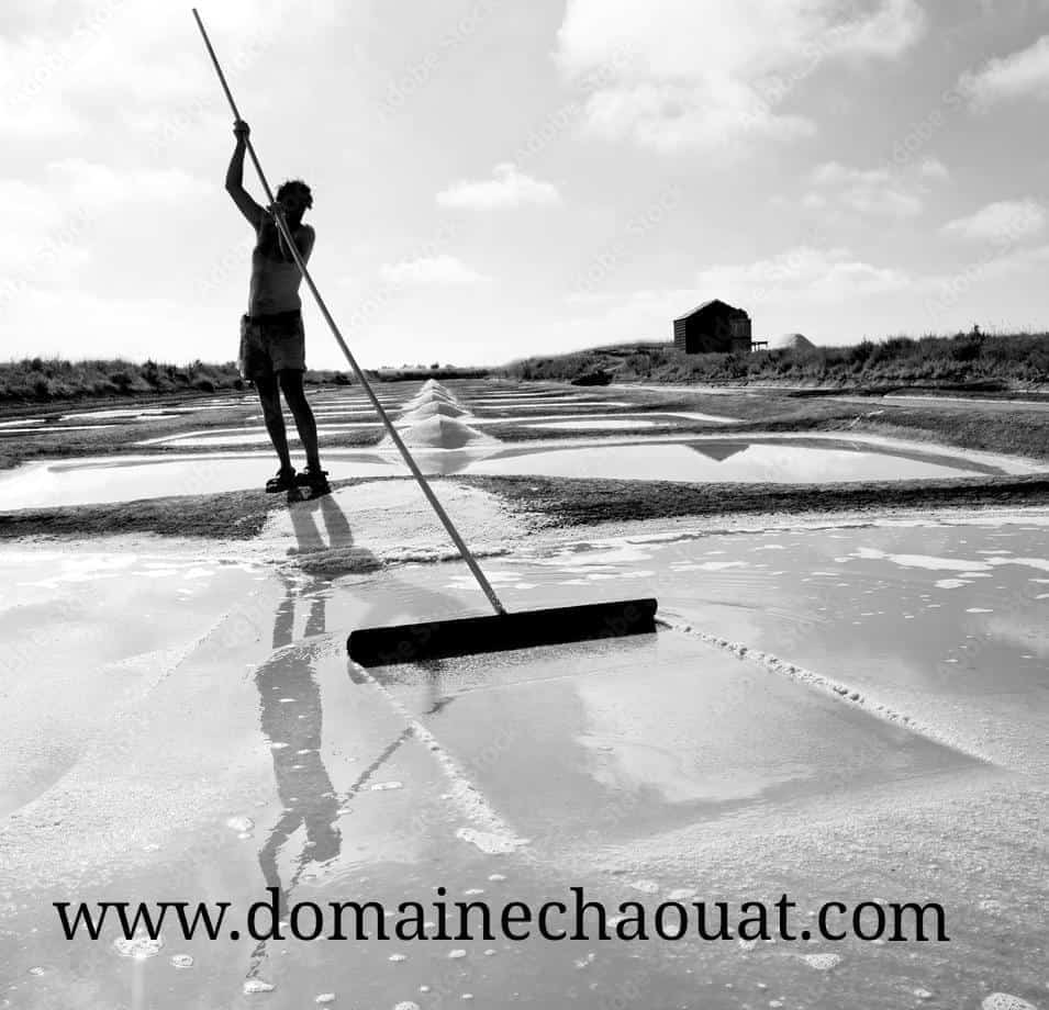 Fleur de Sel de Oualidia - 1 kg