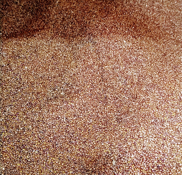 Quinoa Bio rouge en vrac - 250g