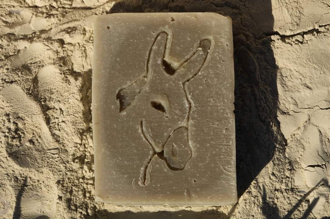 Savon au lait d'ânesse frais (à l'argile verte ) pour peaux grasses 100g