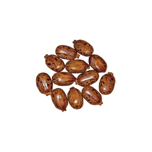 Huile de ricin cosmétique - format économique 1 L