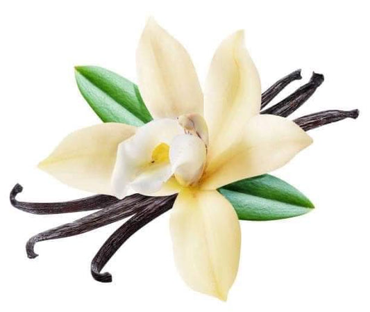 Vanille bourbon de Madagascar - (1× 10 gousses)