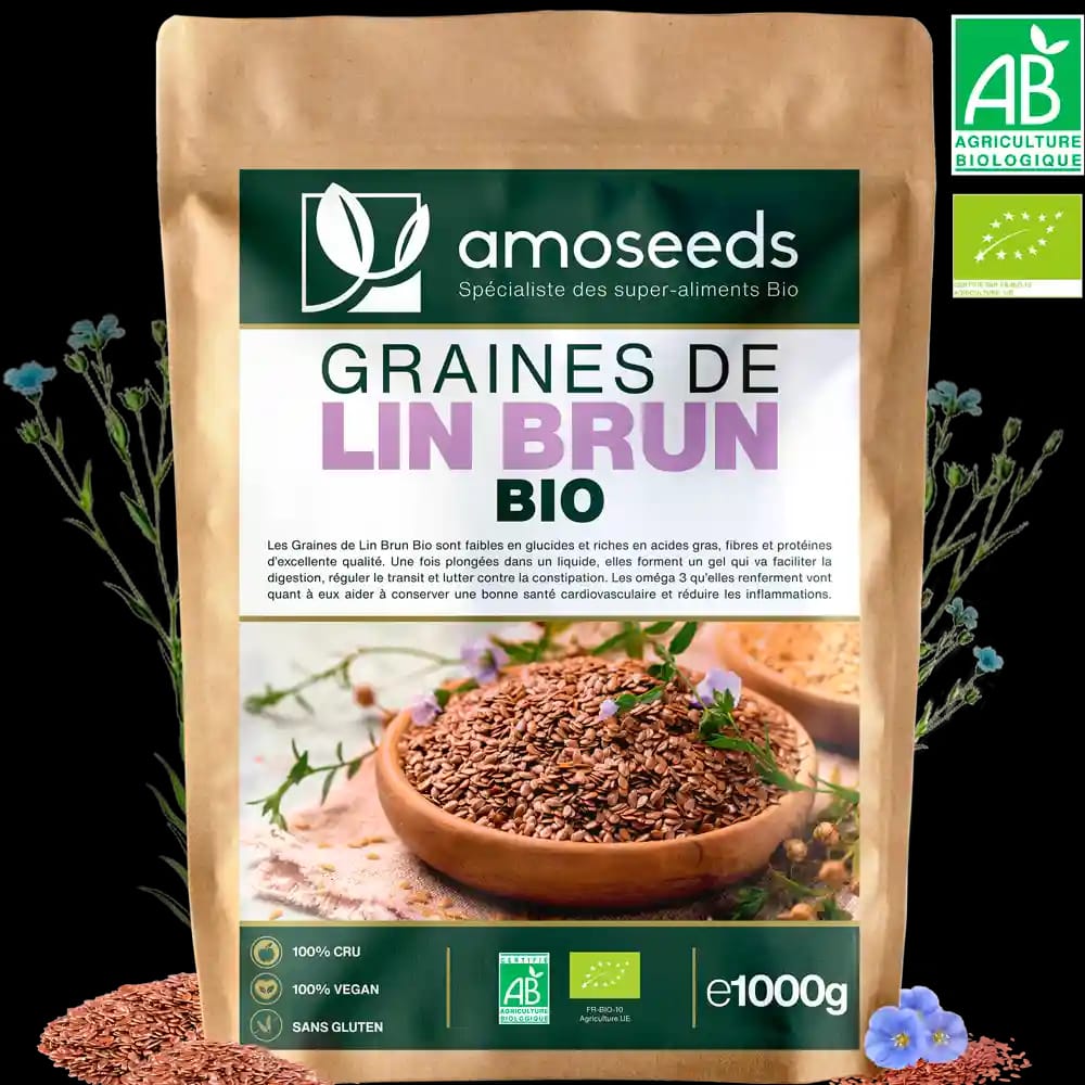Graines de Lin Brun Bio- 250 g