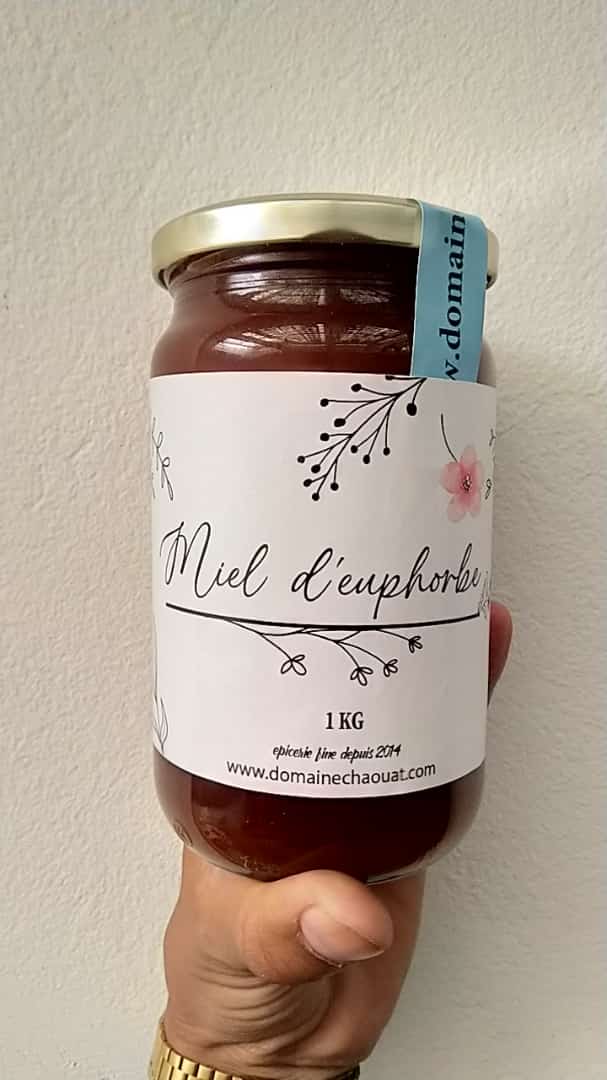 Miel Euphorbe - 1kg Daghmous