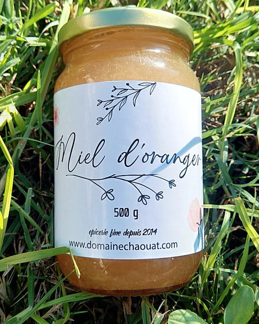 Miel de fleur Oranger 500g