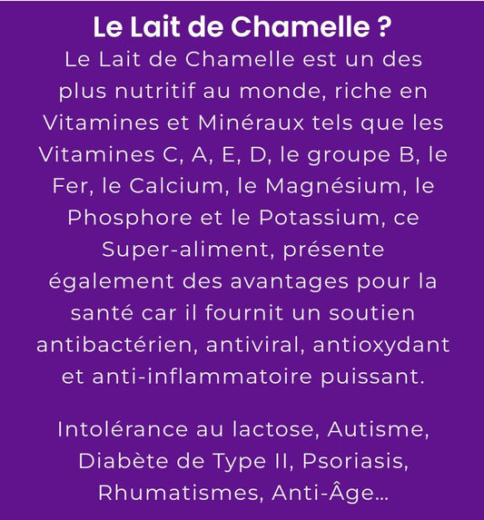 Lait entier de chamelle en poudre UHT pack de 3 sachets qui correspondent à 1,5 L de lait frais