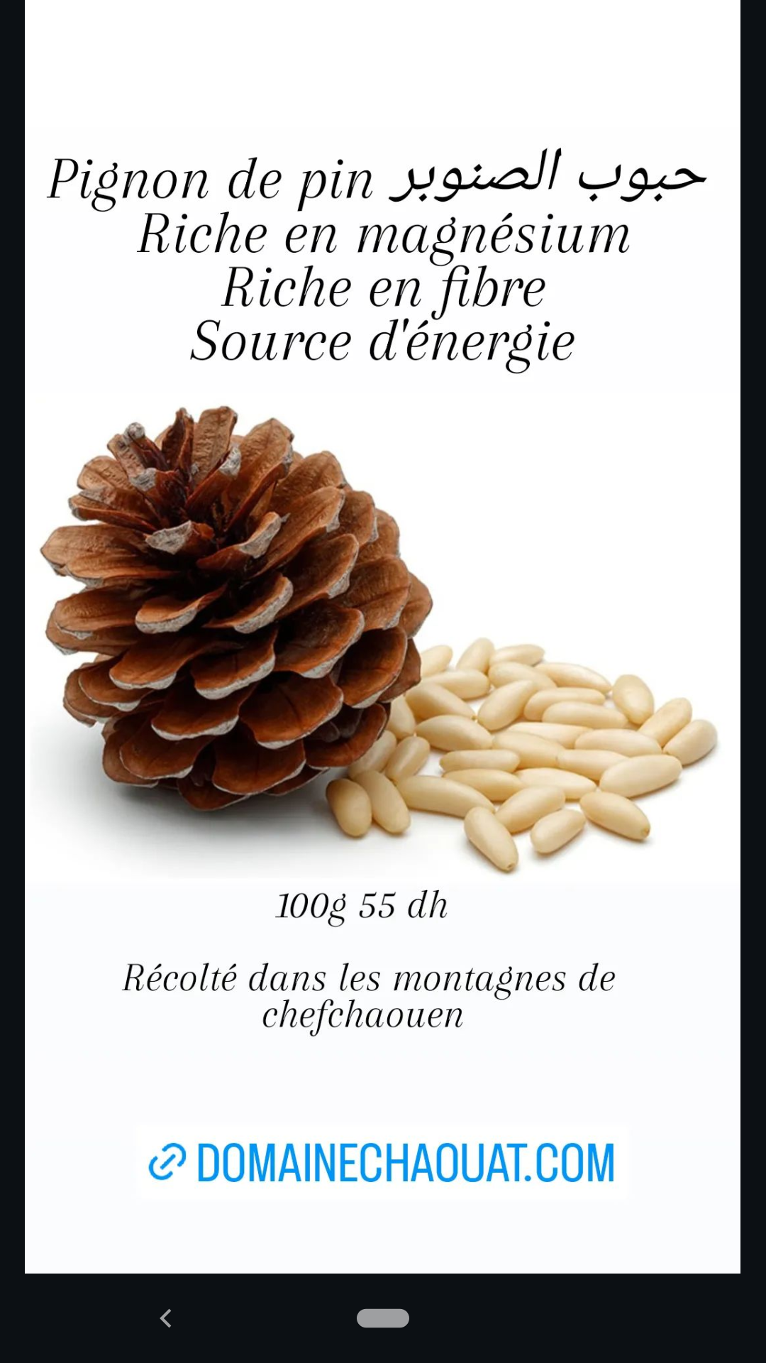 Pignon de pin du Rif - 100g